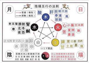拾柴排列五五行分析法详解:精准预测技巧与实战应用