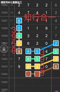 排列五奖彩表详解:奖金分配与中奖概率全解析