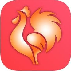 大公鸡排列五苹果版下载指南-全方位使用解析