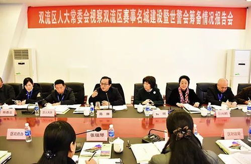 赛事筹备与历史意义