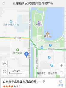 一、济南宠物市场概述