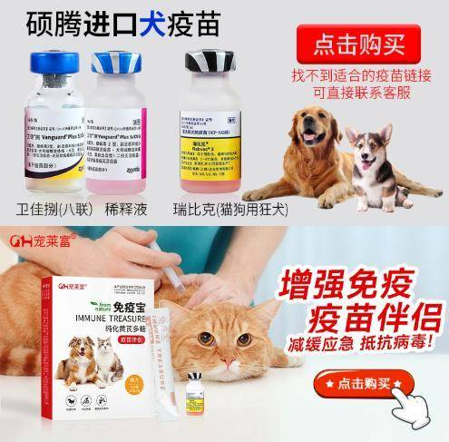 一、宠物多菌康洗液的特性与功效