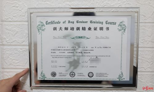 一、宠物检疫证明的必要性