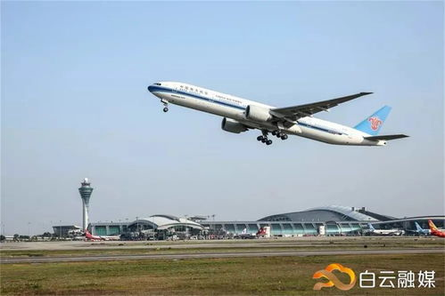 一、白云快递航空件服务简介