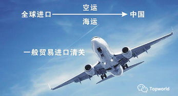 一、塑料粒子空运的基本流程