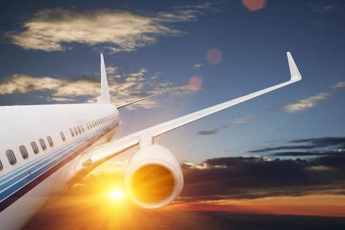 一、白云航空速运公司简介与服务特色