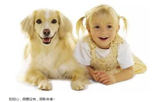一、小狗宠物软件的基本功能介绍
