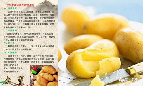 一、土豆的营养价值及其对宠物的影响