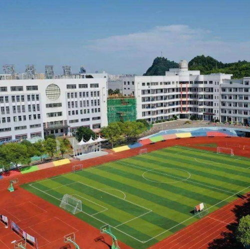 一、宜昌宠物学校的概况与特色