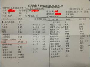 一、宠物尿常规检测的基本内容