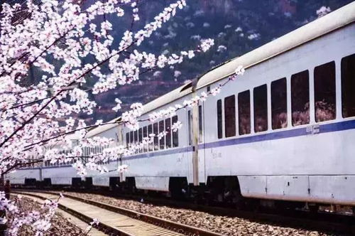 一、火车携带宠物的规定