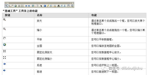 一、貂的基本特性