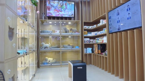 一、福州尾巴宠物店的特色服务