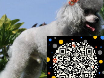 一、宠物狗血统的重要性