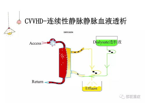 一、了解宠物雾化治疗的基本原理