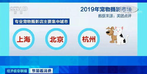 一、北京宠物速运服务的优势