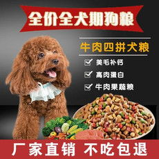 一、了解宠物主粮的重要性