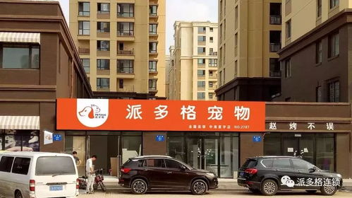 一、济南宠物医院的选择标准
