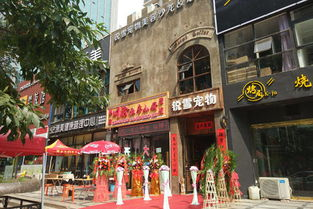 一、选择合适的小区宠物店位置