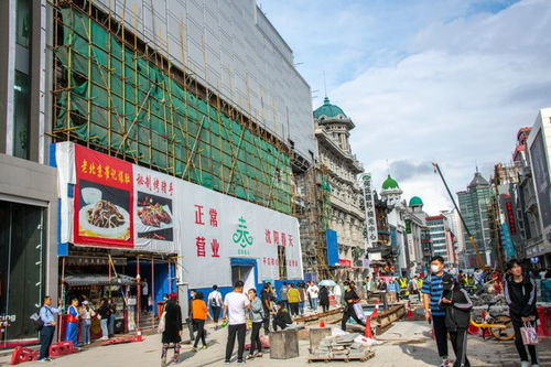 一、沈阳中街宠物市场概述