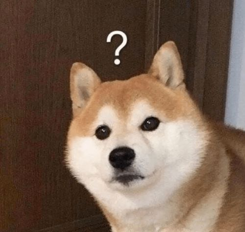 一、柴犬的特质与性格