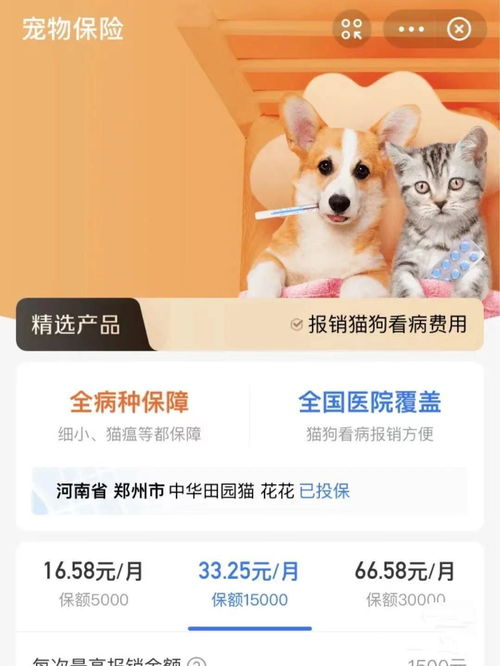 一、宠物医疗保健的重要性