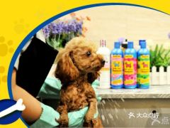 一、酷迪宠物商城的产品多样性