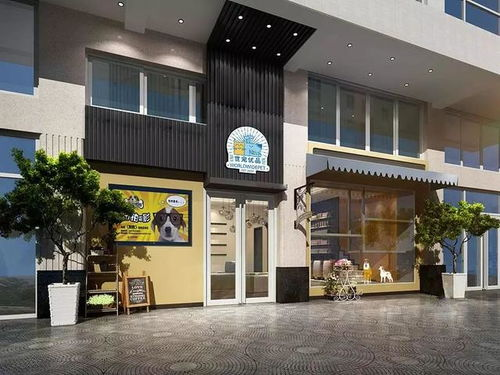 一、长宁宠物店特色服务介绍