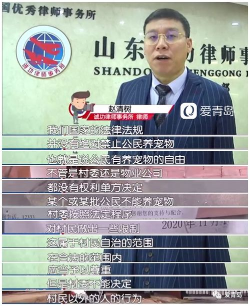 一、邮寄宠物的法律限制与规定