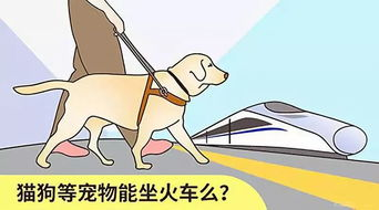 一、火车托运宠物的法规要求