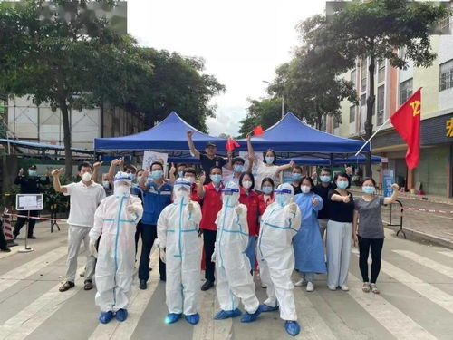 一、宠物留检所的功能与服务