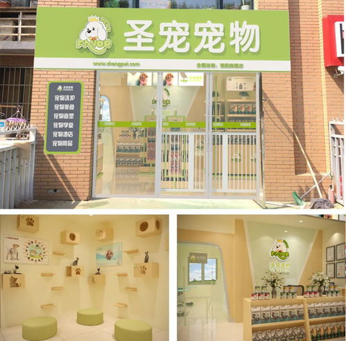一、安庆实体宠物店的便利性