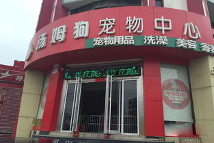 一、泸州宠物美容店的发展现状