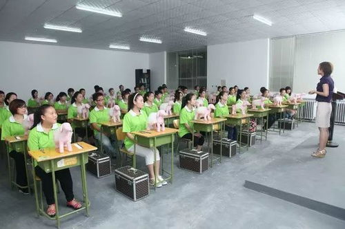 一、珠海宠物美容培训学校概览