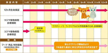 一、选择网上宠物店的考量因素