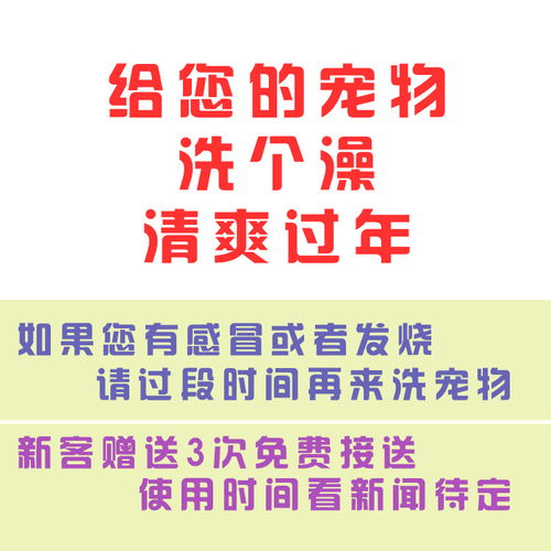 一、免费宠物美容店的可行性分析