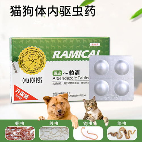 一、了解宠物驱虫药的种类