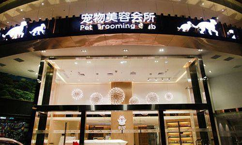 一、店铺环境与宠物品种