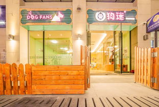 一、了解迷你宠物店的特点