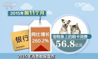 一、宠物商店购买的优势与劣势