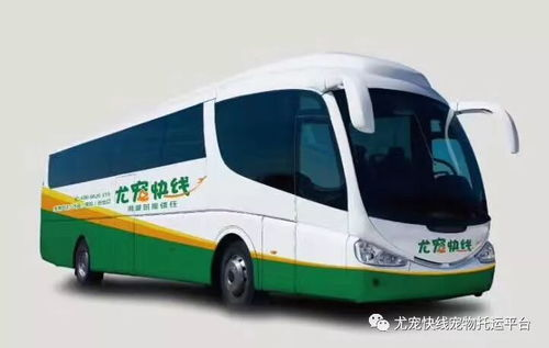 一、短途大巴是否允许携带宠物
