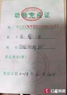 一、了解宠物防疫证明的重要性