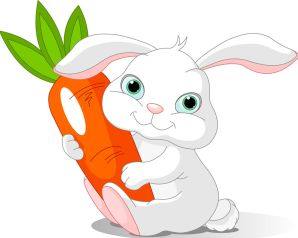 一、了解兔子的生理特点