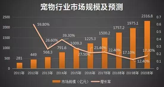 一、宠物店的规模与服务范围