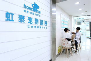 一、爱林宠物医院的专业服务介绍