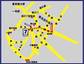 一、渝中区宠物店的分布特点