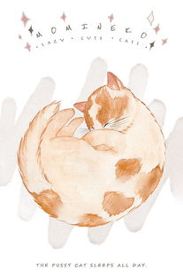一、猫咪