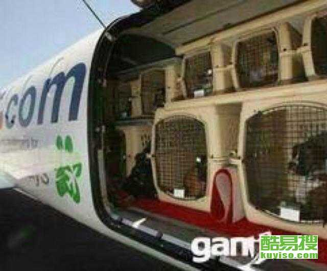 一、了解火车托运宠物的基本政策
