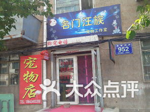 一、选择重庆路宠物店的标准