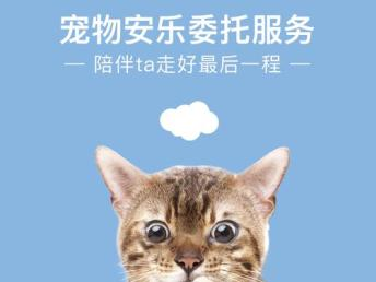 一、哈尔滨宠物协会的成立背景
